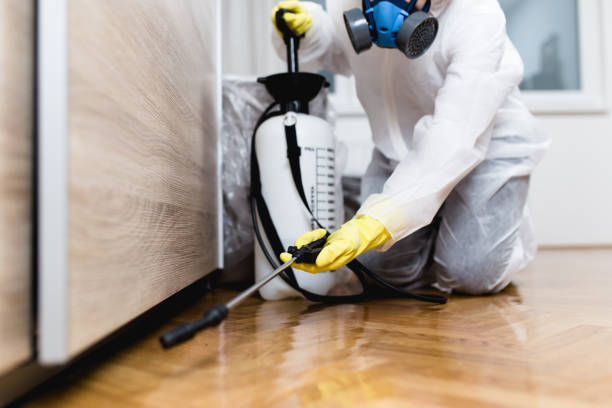 Best Pest Control Treatment  in Glenwood Landing, NY