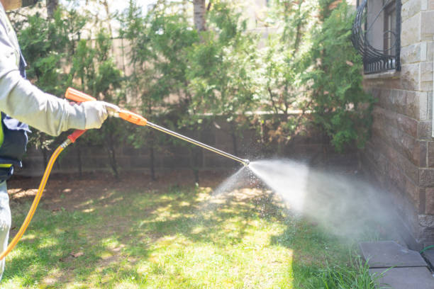 Flea Control Services in Glenwood Landing, NY