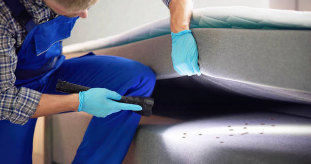 Best Termite Control Services  in Glenwood Landing, NY