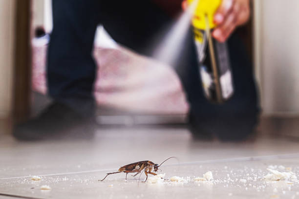 Best Commercial Pest Control Services  in Glenwood Landing, NY