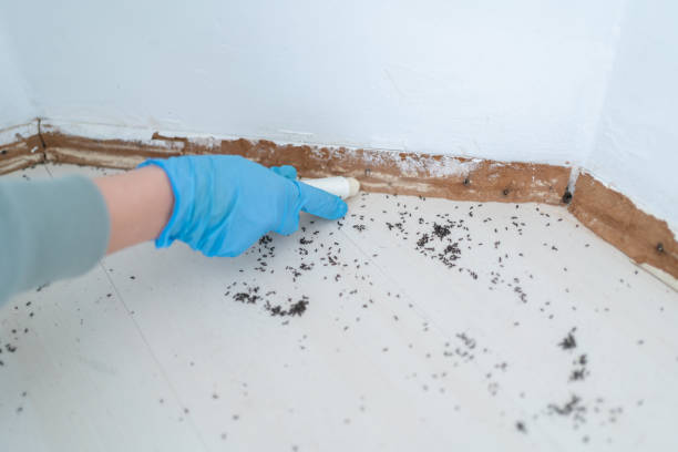 Professional Pest Control in Glenwood Landing, NY